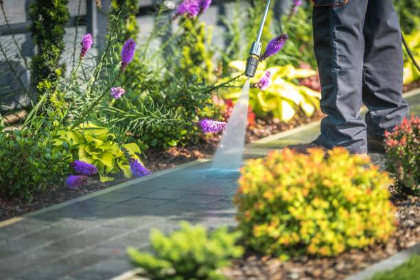Reliable Palos Hills, IL Pressure Washing Solutions