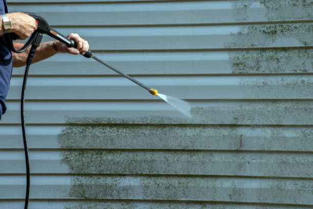 Best Sidewalk and Walkway Cleaning  in Palos Hls, IL